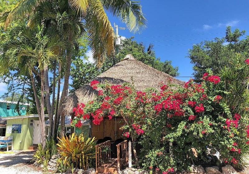 酒店 The Pelican Key Largo Cottages