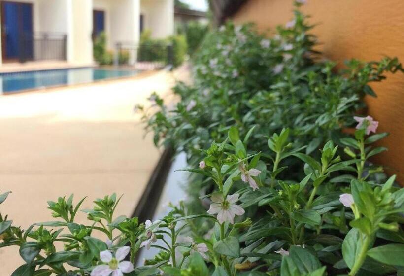 پانسیون Green View Beach Resort