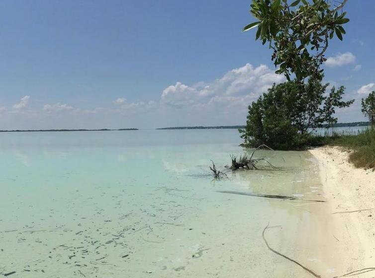 민박 Casa Vive Bacalar