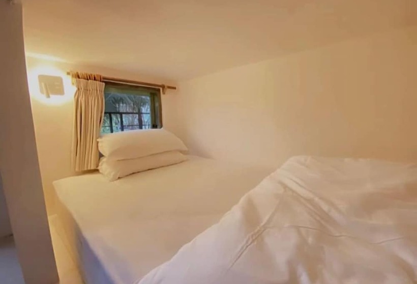 White Penny Hostel