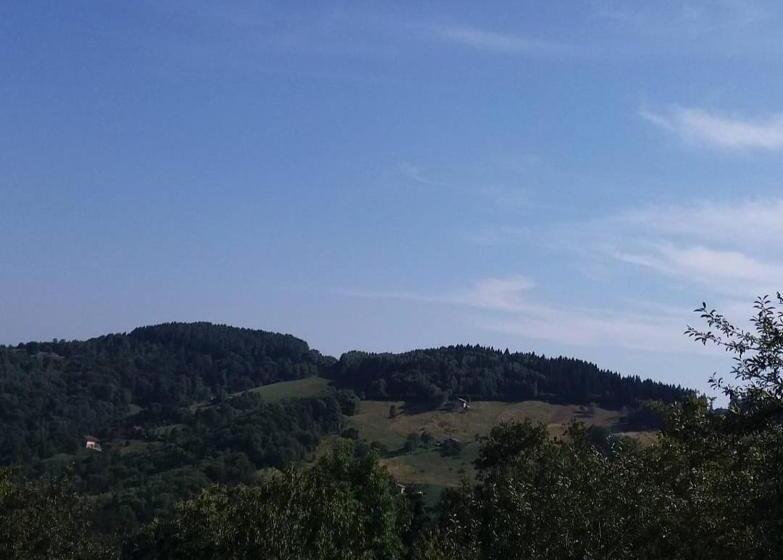 Bed and Breakfast Alice Nel Paese Delle Meraviglie