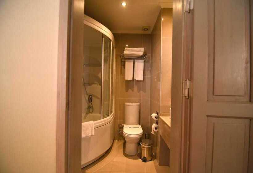 هتل Alp Pasa Gazetta   Special Class