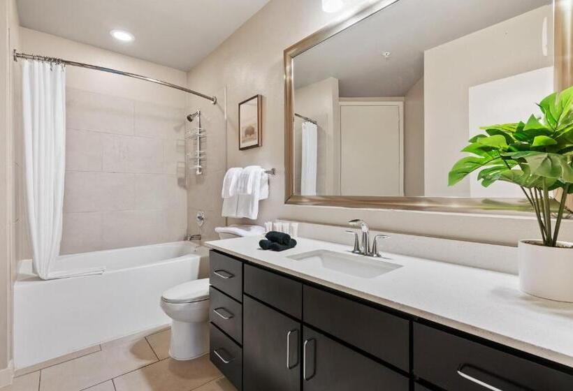 Lodgeur At Elan Med Center