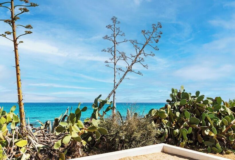 هتل Amasea Resort