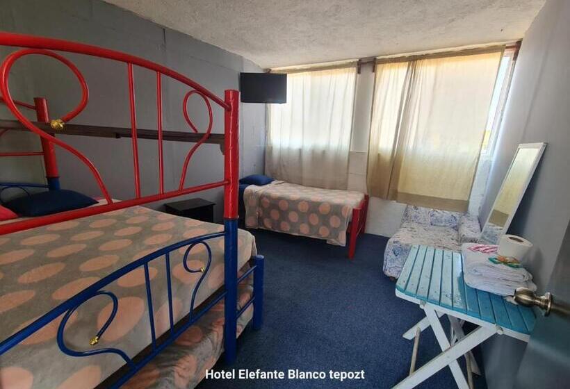 بنسيون Hostal Del Elefante