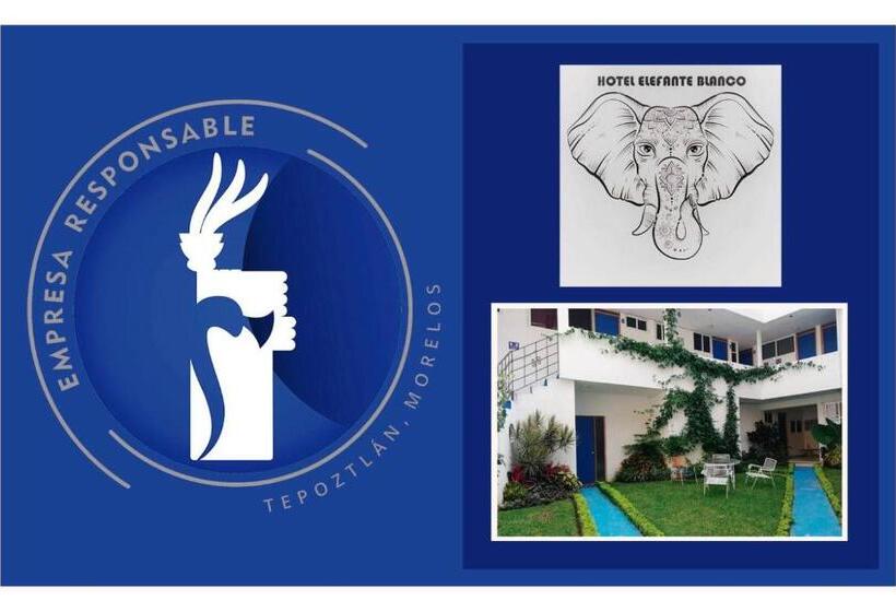 Pansiyon Hostal Del Elefante