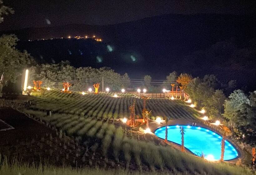 مبيت وإفطار Eva Lavanda Kazdağları