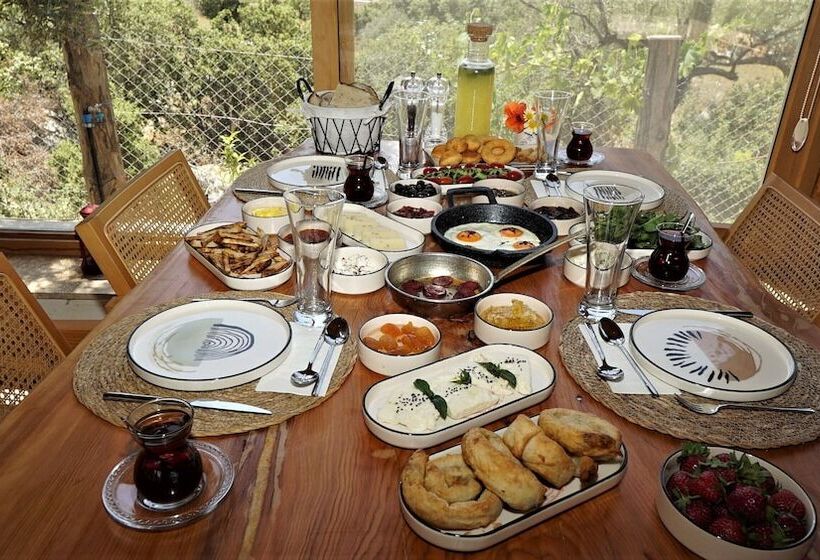 تختخواب و صبحانه Sedir Taş Evleri
