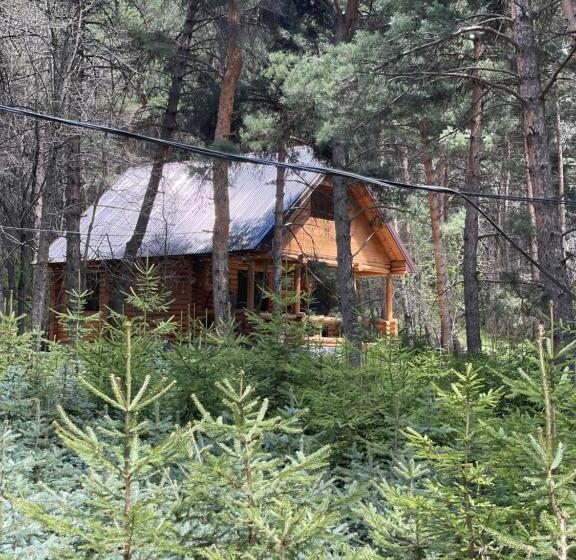 تختخواب و صبحانه Yeghevni Rest House