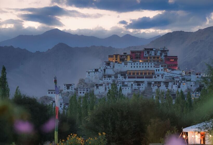 Hotel Chamba Camp Thiksey By Tutc