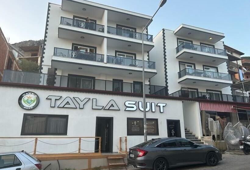 Tayla Sui̇t