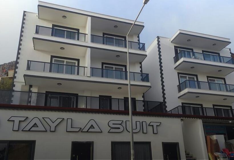 Tayla Sui̇t