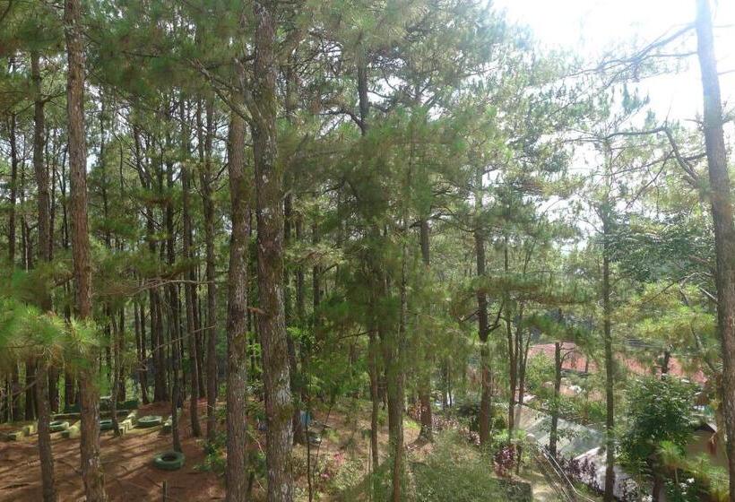 Amabel S Condo Unit At North Cambridge Baguio Condominiums 2lo