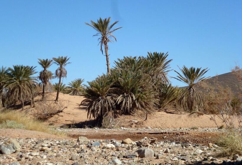 تختخواب و صبحانه La Vallée Des Dunes   Auberge, Bivouacs Et Excursions