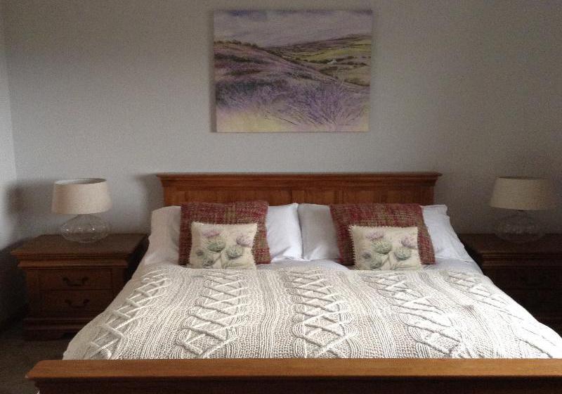 住宿加早餐  Ronan House