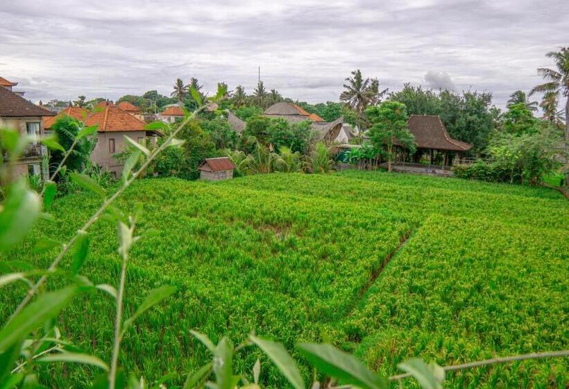 Fotos del hotel Inata Bisma Hotel Ubud:  8