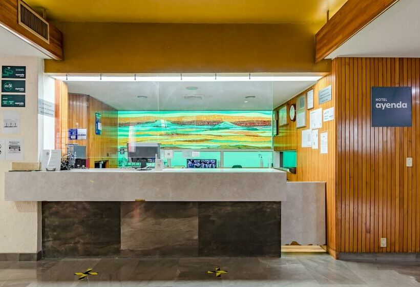 Fotos del hotel Hidalgo:  23