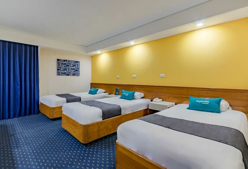Fotos del hotel Hidalgo:  5