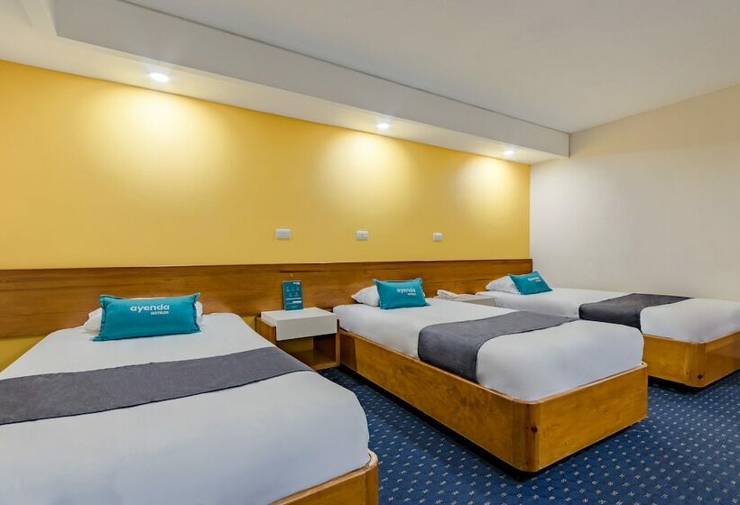 Fotos del hotel Hidalgo:  40