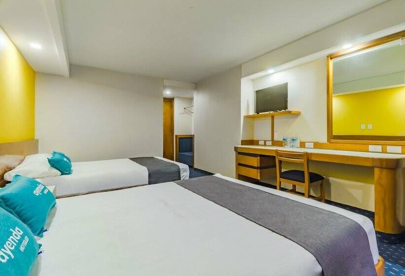 Fotos del hotel Hidalgo:  43
