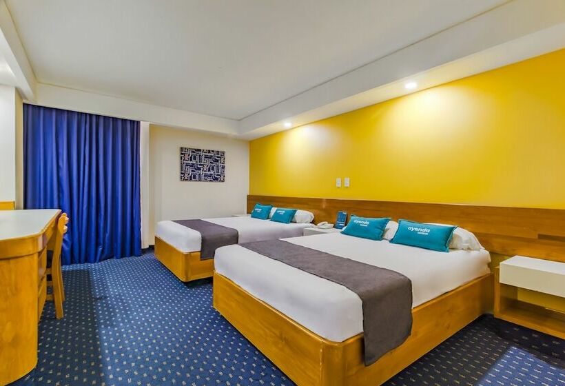 Fotos del hotel Hidalgo:  42
