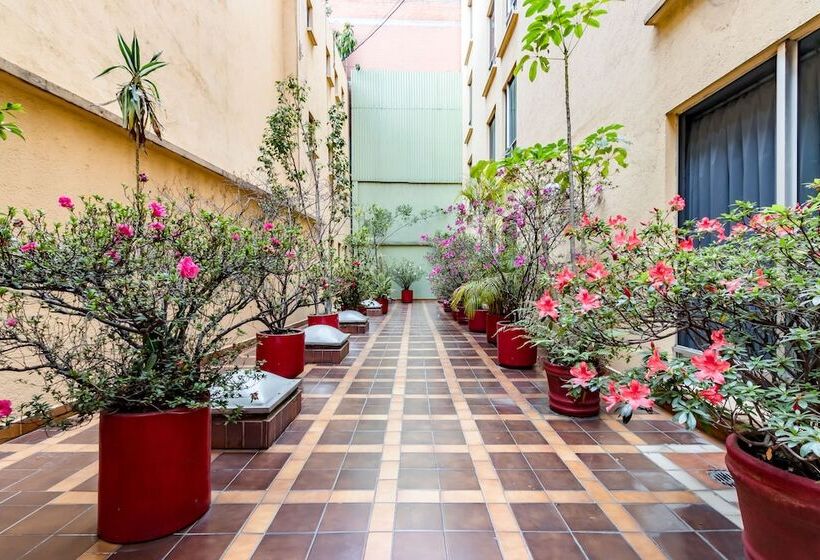 Fotos del hotel Hidalgo:  19