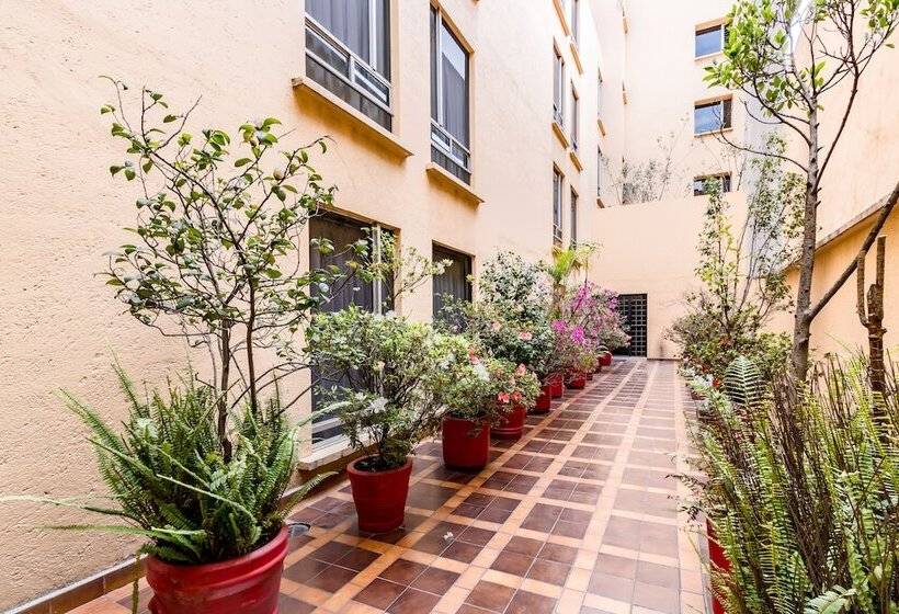 Fotos del hotel Hidalgo:  38