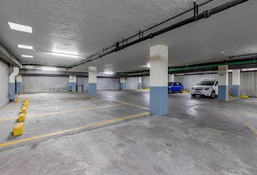 Fotos del hotel Hidalgo:  50