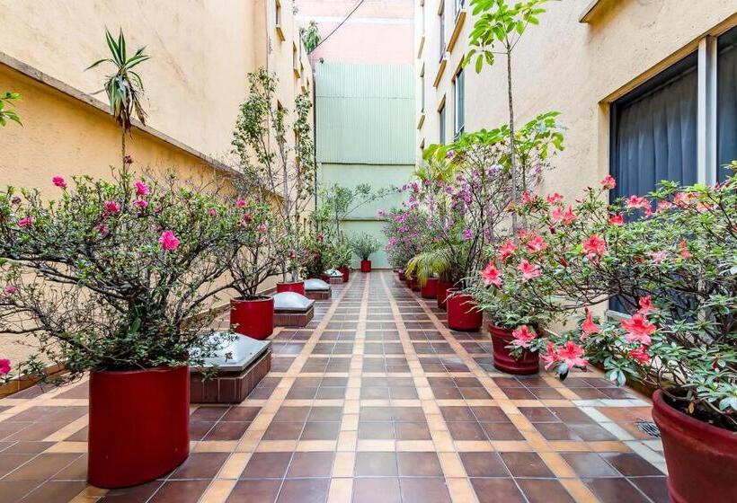 Fotos del hotel Hidalgo:  30