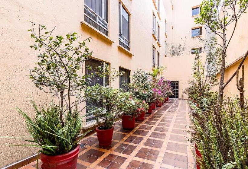 Fotos del hotel Hidalgo:  31