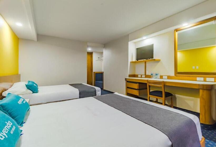 Fotos del hotel Hidalgo:  33