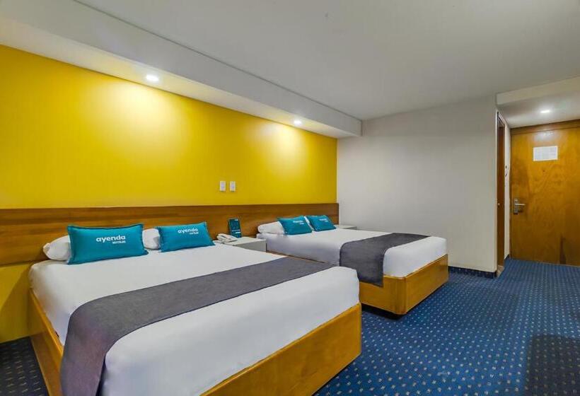 Fotos del hotel Hidalgo:  36