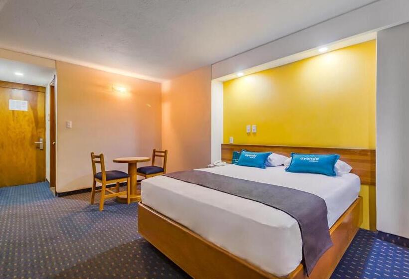 Fotos del hotel Hidalgo:  13