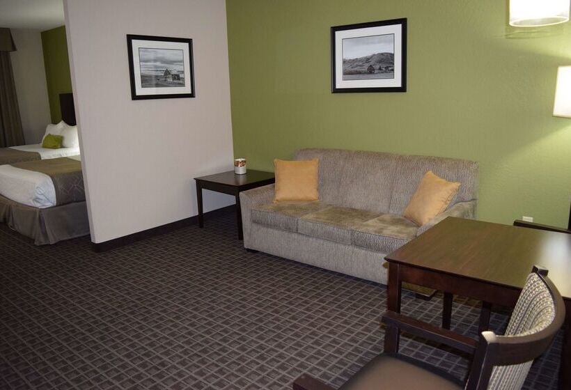 בית מלון כפרי Best Western Plus Havre Inn & Suites