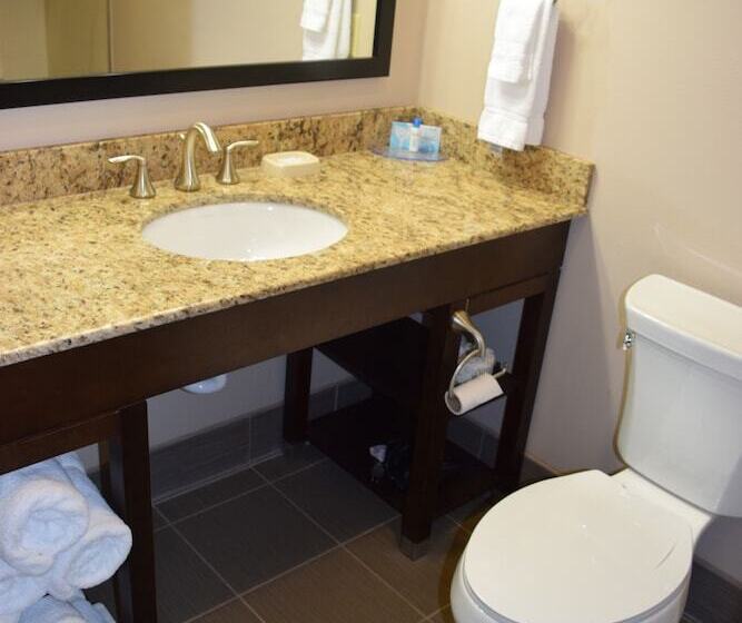 فندق Best Western Plus Havre Inn & Suites