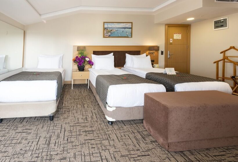 Fotos del hotel Boursier 1 & Spa:  11