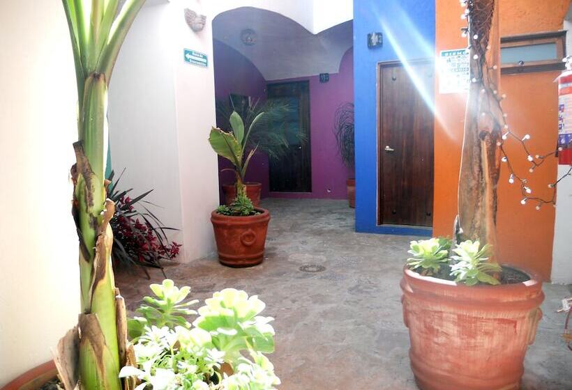 Fotos del hotel Casa Abolengo:  19