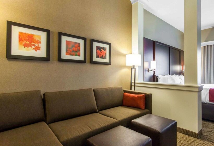 בית מלון כפרי Comfort Suites Youngstown North