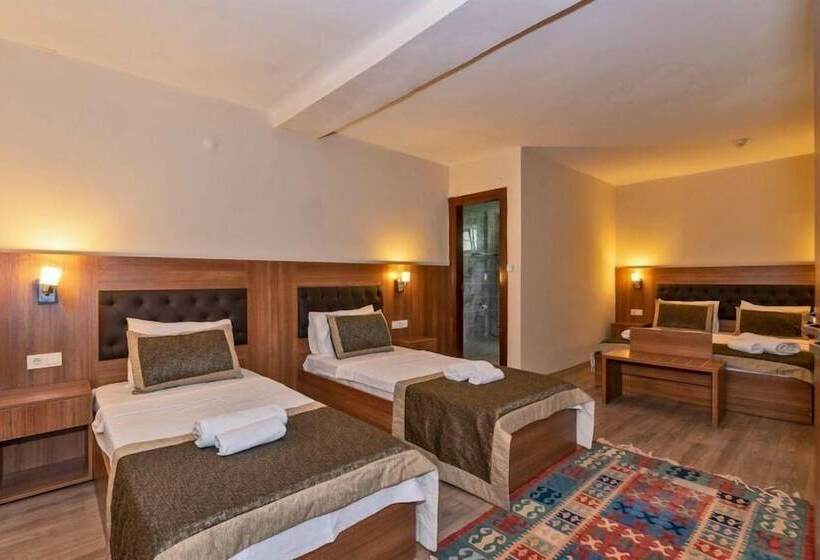 Fotos del hotel Diamond City Resort:  7