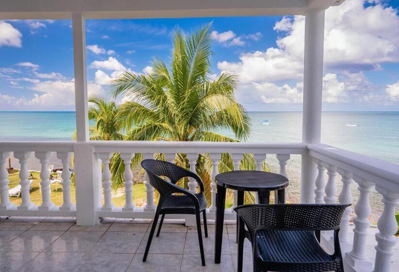 Fotos del hotel El Pirata Morgan:  20