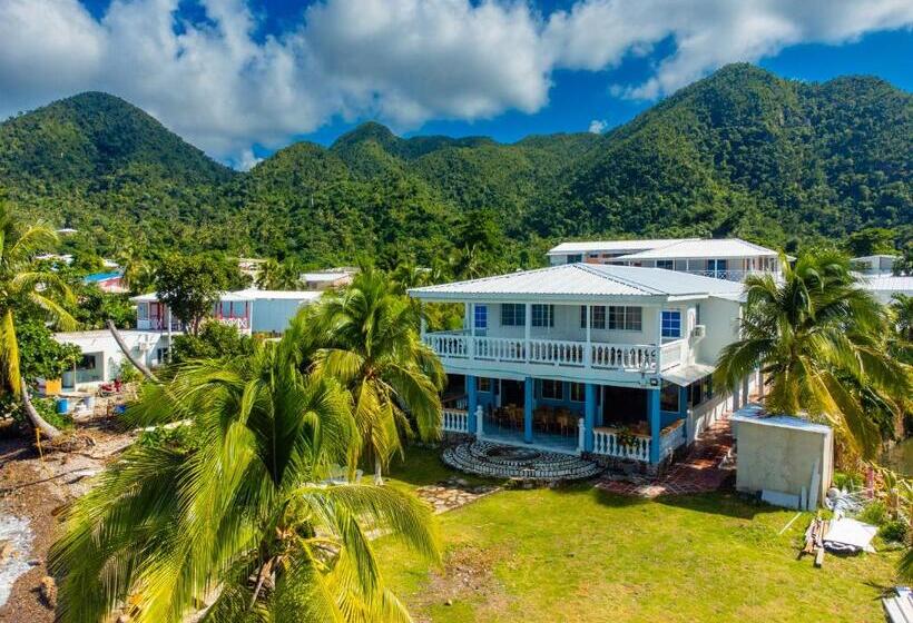 Fotos del hotel El Pirata Morgan:  17