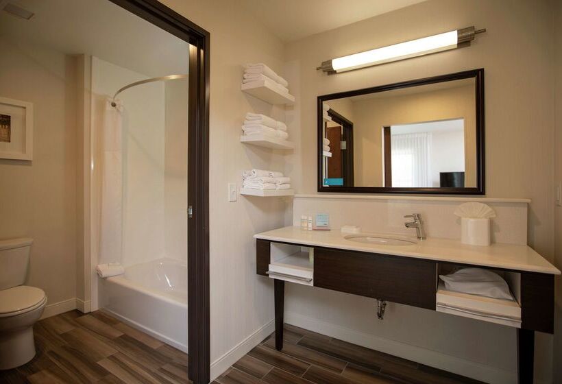 호텔 Hampton Inn Mesa Verde/cortez