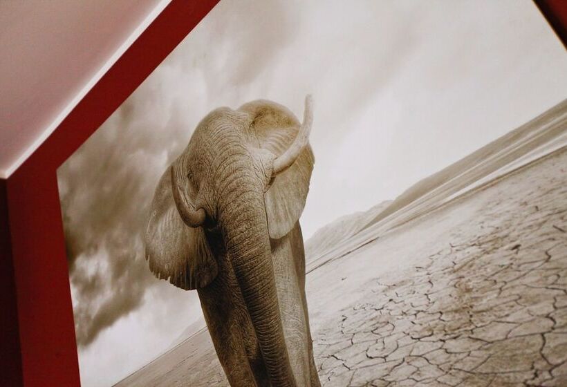 Fotos del hotel Oasi Verde A San Pietro B&b:  14