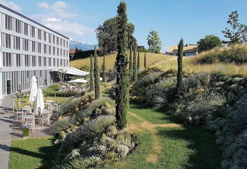 Modern Times Hotel, Vevey, A Tribute Portfolio