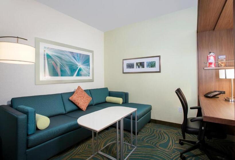 Fotos del hotel Springhill Suites By Marriott Orlando At Flamingo Crossings Town Center-western Entrance:  21