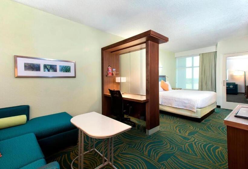 Fotos del hotel Springhill Suites By Marriott Orlando At Flamingo Crossings Town Center-western Entrance:  4