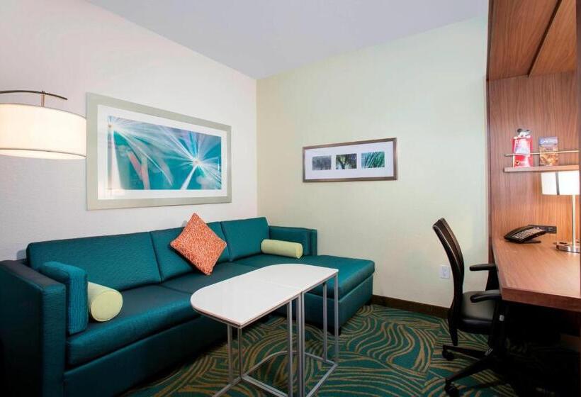 Fotos del hotel Springhill Suites By Marriott Orlando At Flamingo Crossings Town Center-western Entrance:  17