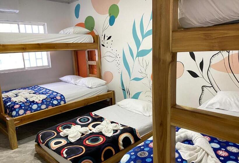 هتل Hostal Las Flores