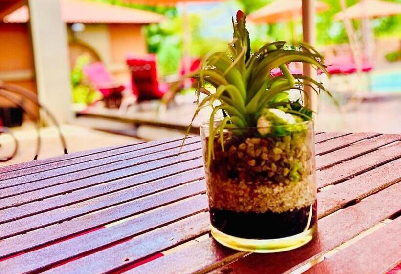 膳宿费 Gucci Manor Boutique Guesthouse