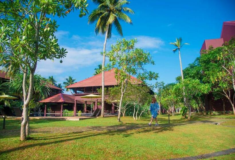 ホテル Celestia Ayurveda Resort